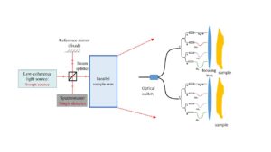 1picFORACTPHAST Researchers develop novel optical scanner for swift detection of eye diseases